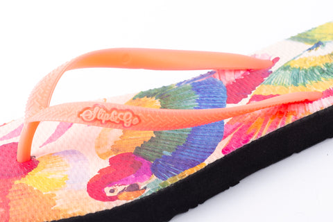 FLIP FLOP Women’s Slipper -Parrot