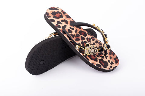 Imperial Leopard