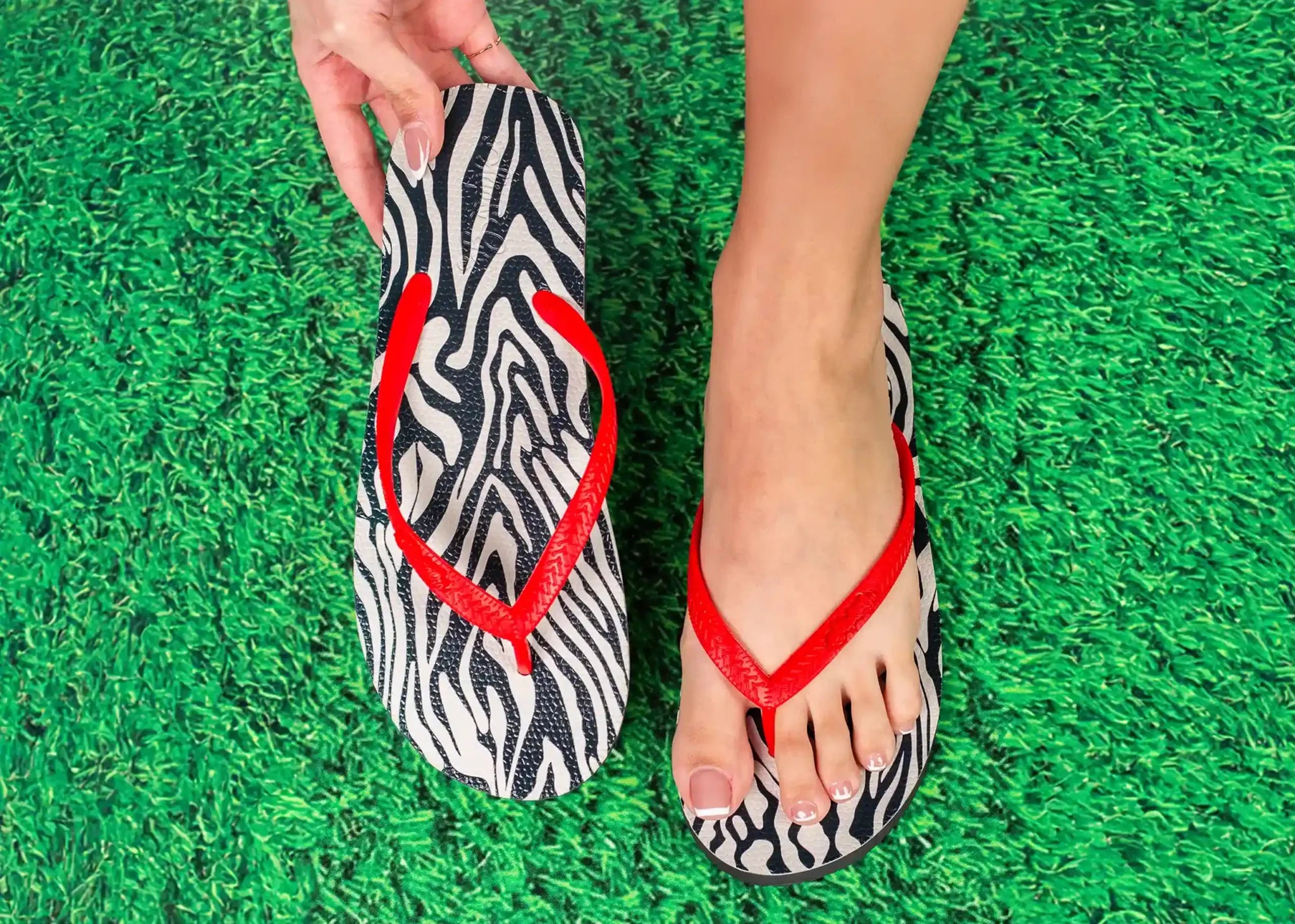 Zebra Premium Women Comfort Slipper
