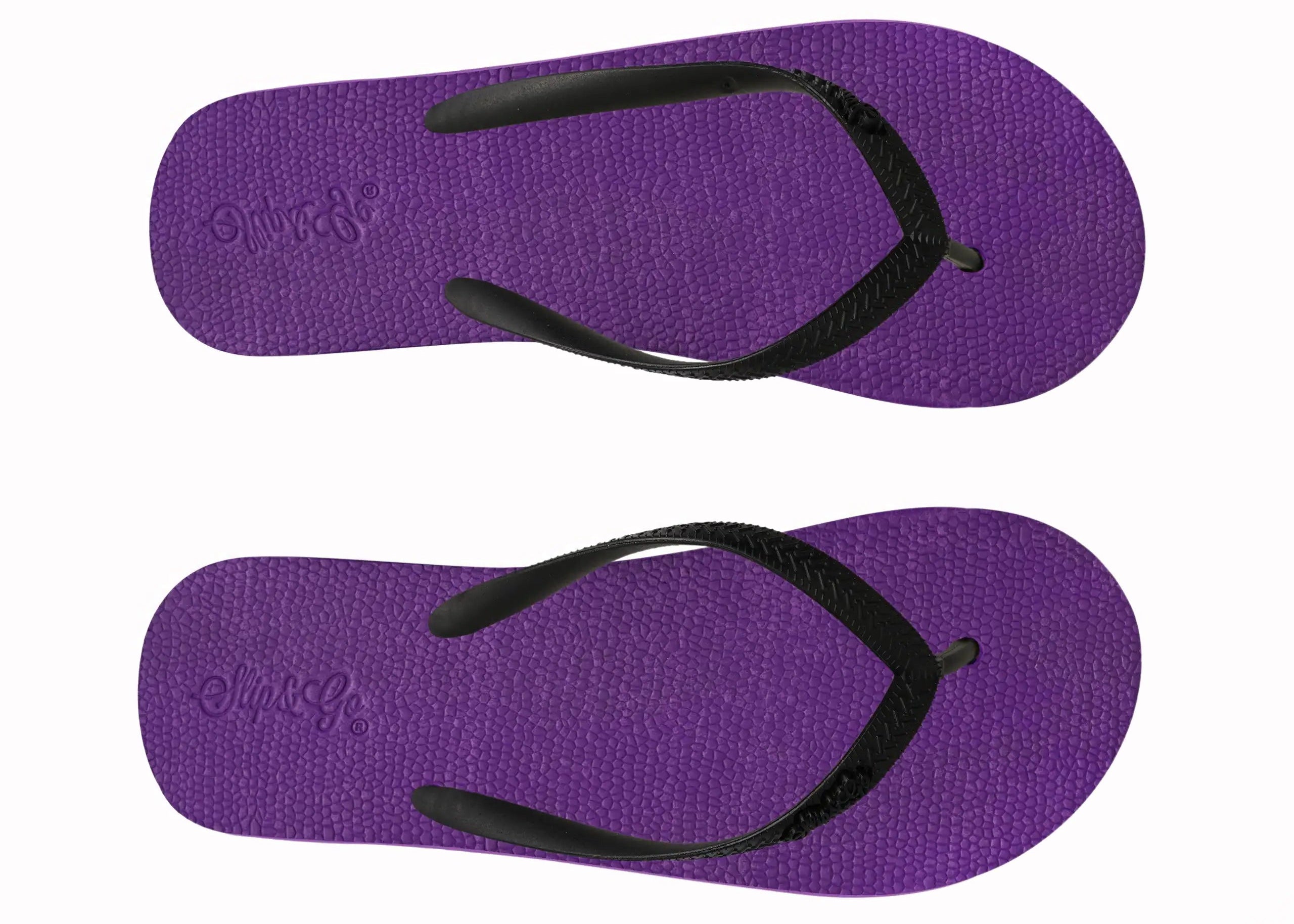 Purple flip-flops with black straps on a white background